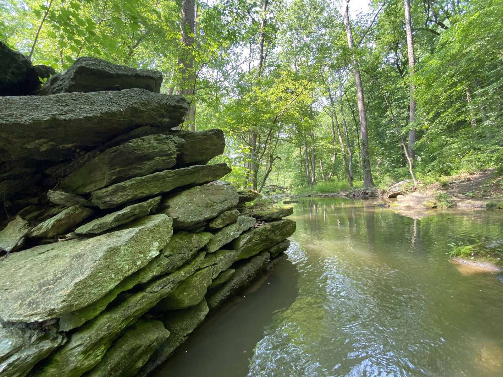 Rocks on a stream