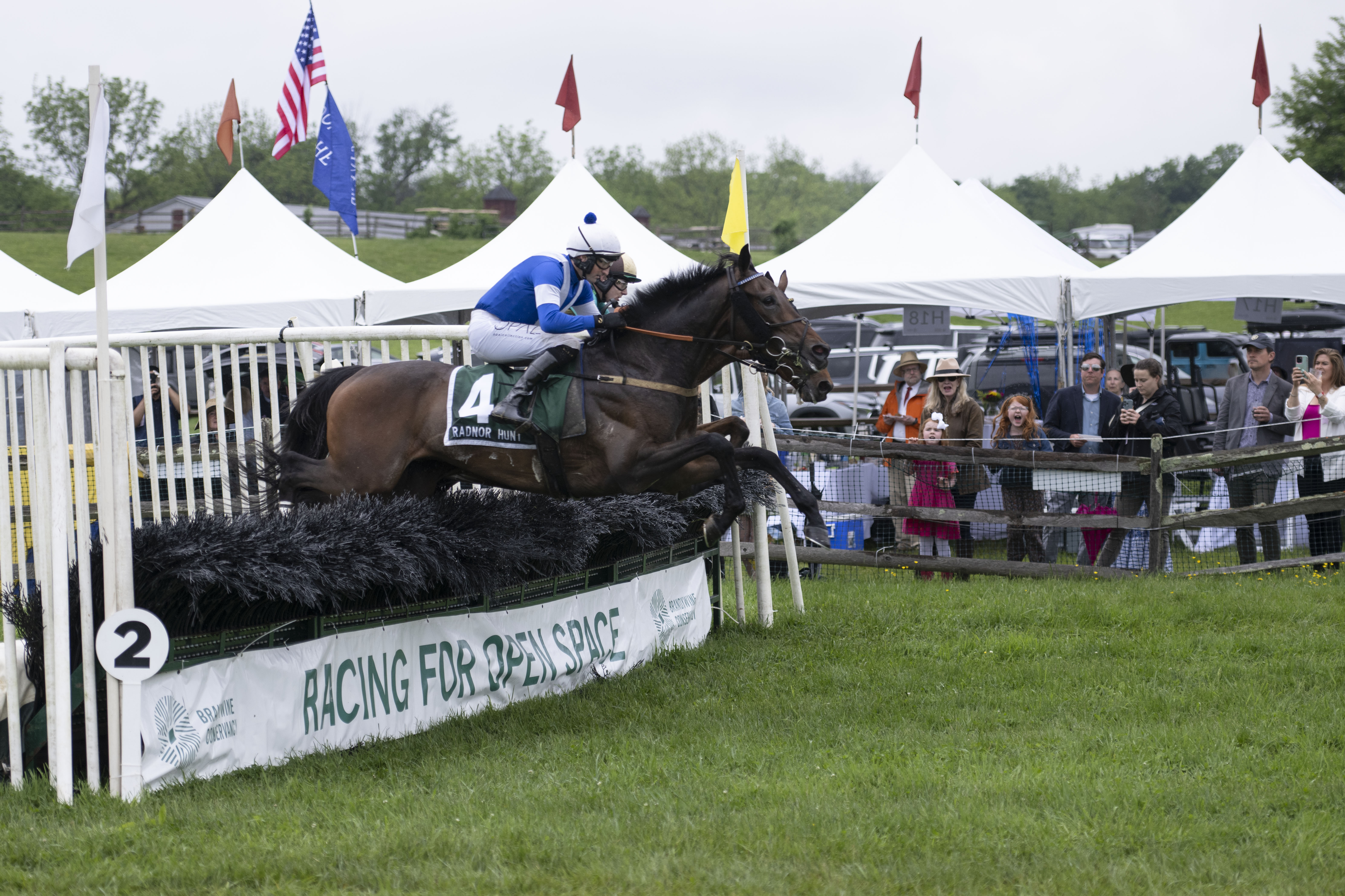 wide angle shot of two horses jumping at a steeplechase event while crowds watch from the sidelines