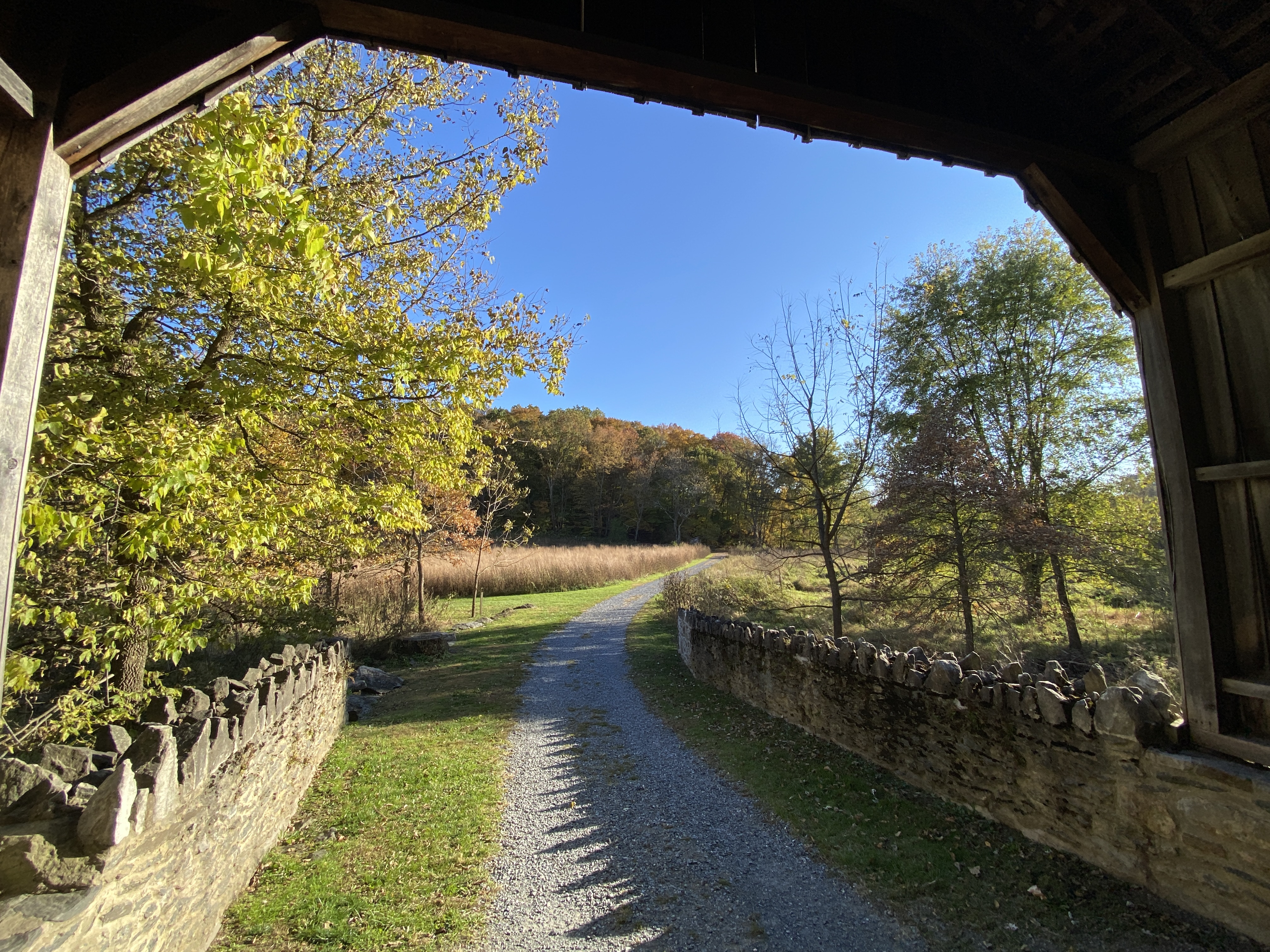 A trail leads to a covered bridge surrounded by trees with fall colored leaves.