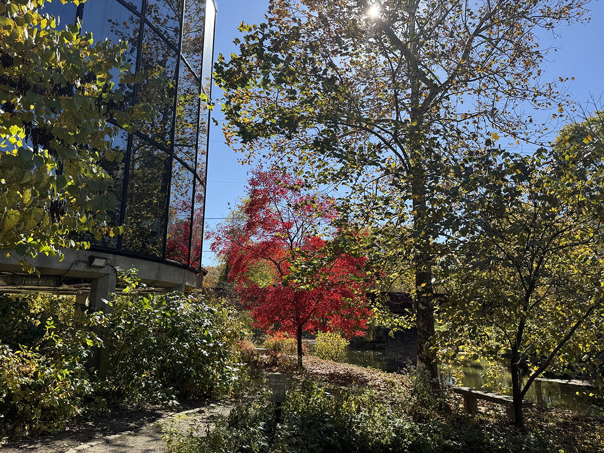 landscape photo of a building with glass walls with autumn trees