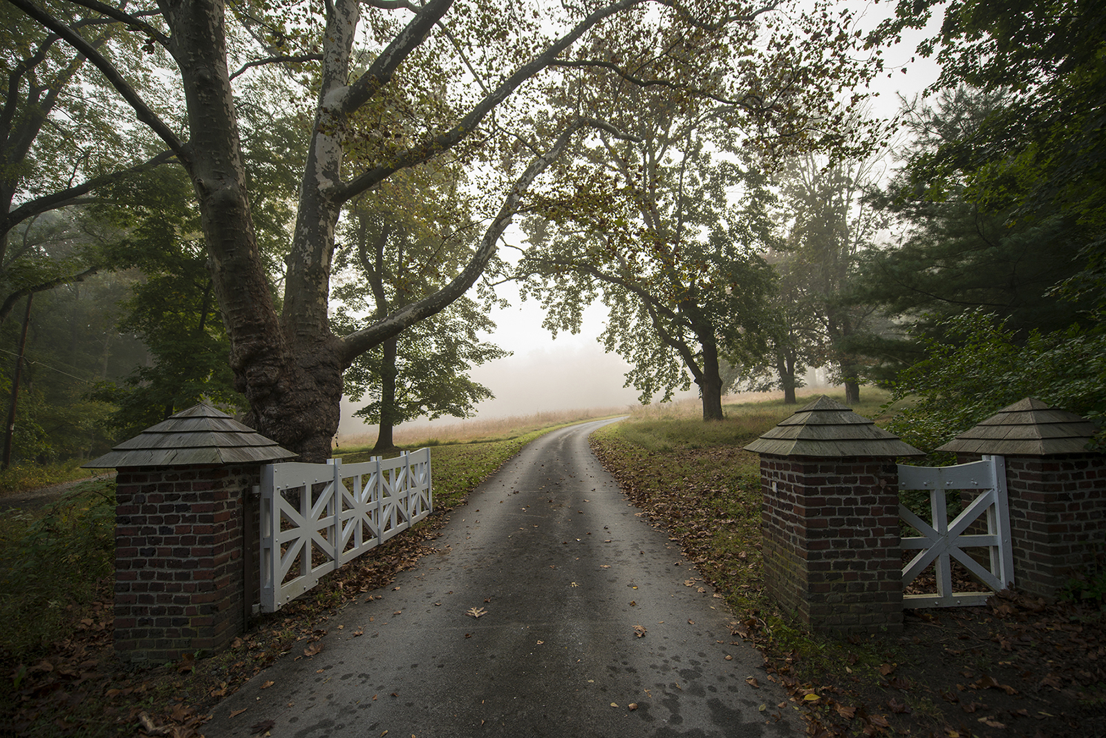 Tree-lined driveway leading up to the N.C. Wyeth House & Studio