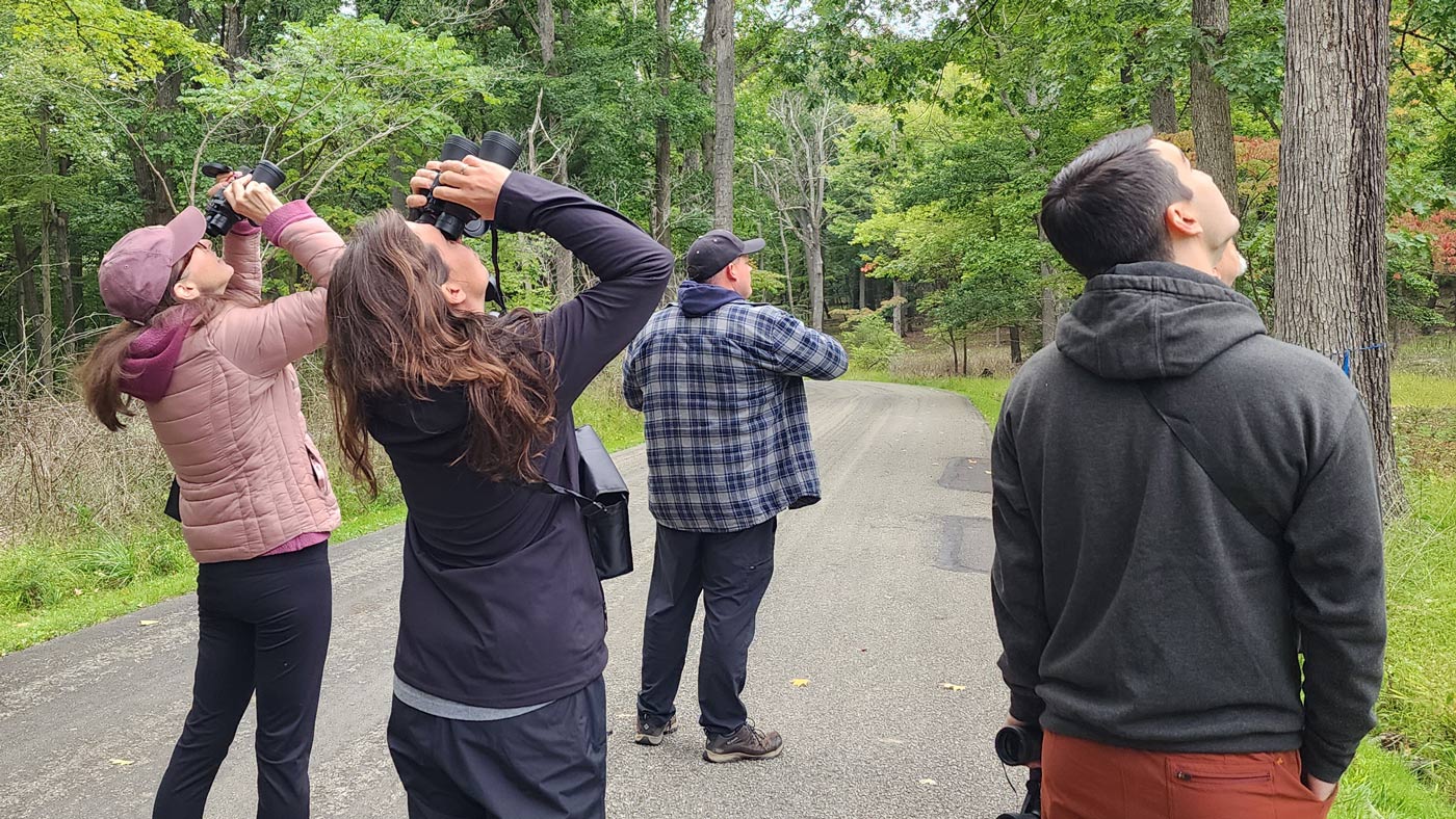 A group of birders looking up.