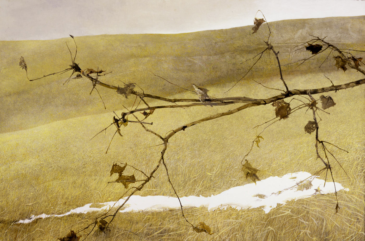 Andrew Wyeth, Long Limb, 1998. Tempera, 48 x 72 in. Private Collection © 2024 Wyeth Foundation for American Art / Artists Rights Society (ARS), New York