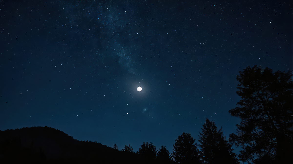 A dark night sky showing silhouettes of trees against a starry sky with bright moon in the center.