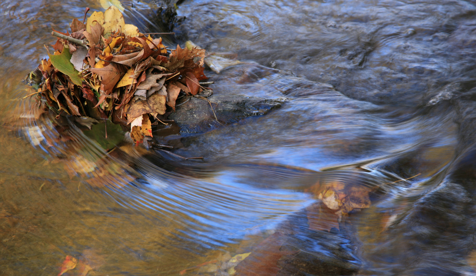 Close-up view of flowing water