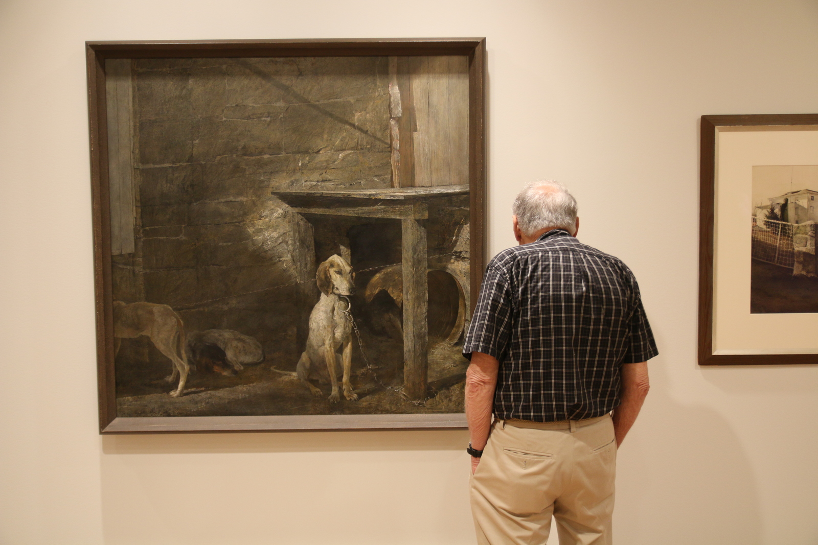 Man looking at a painting of a dog, in an art gallery