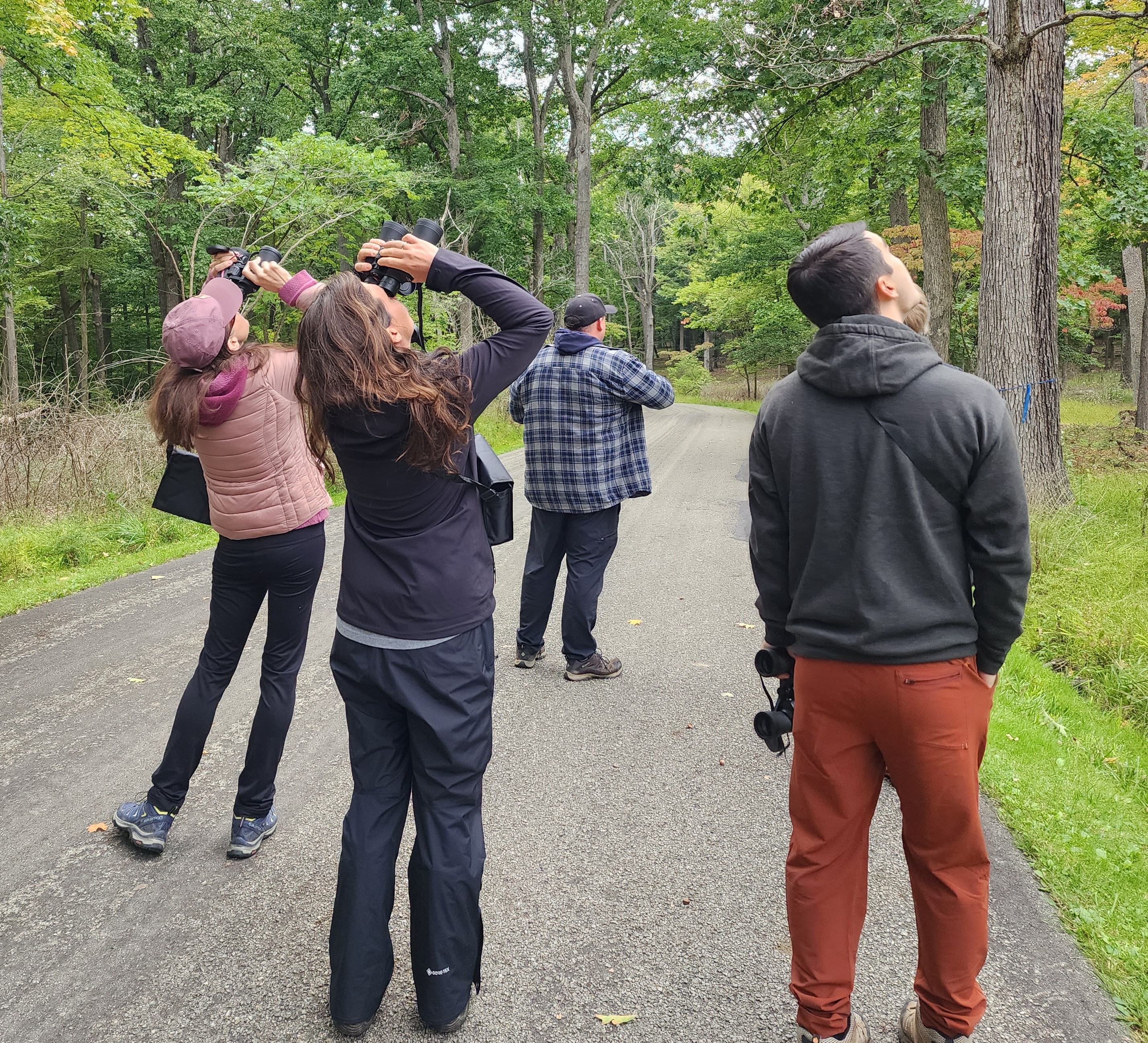 People walking, surrounded by trees on a trail, looking for birds