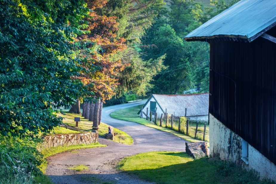 A winding pathway, surrounded by trees and a red barn