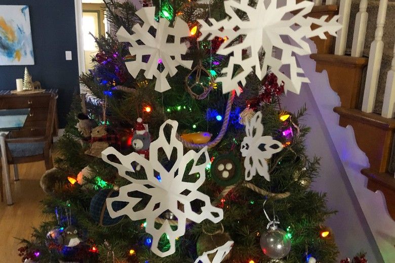 Webb Mirror Paper Snowflake Activity