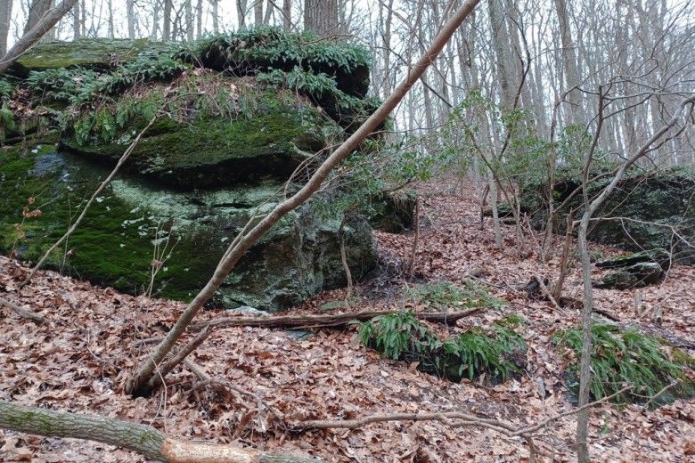 Laurels Schist outcrops