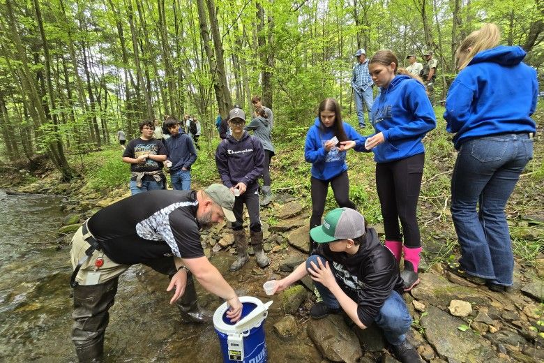 a group of young people release trout into a stream in a wooded area