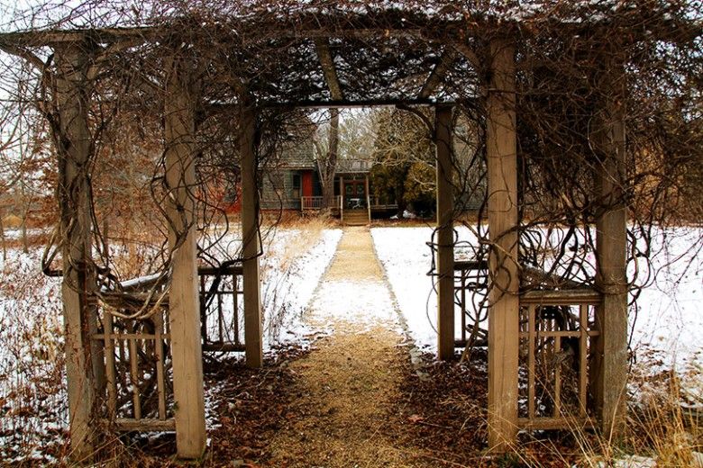 Gazebo in snow