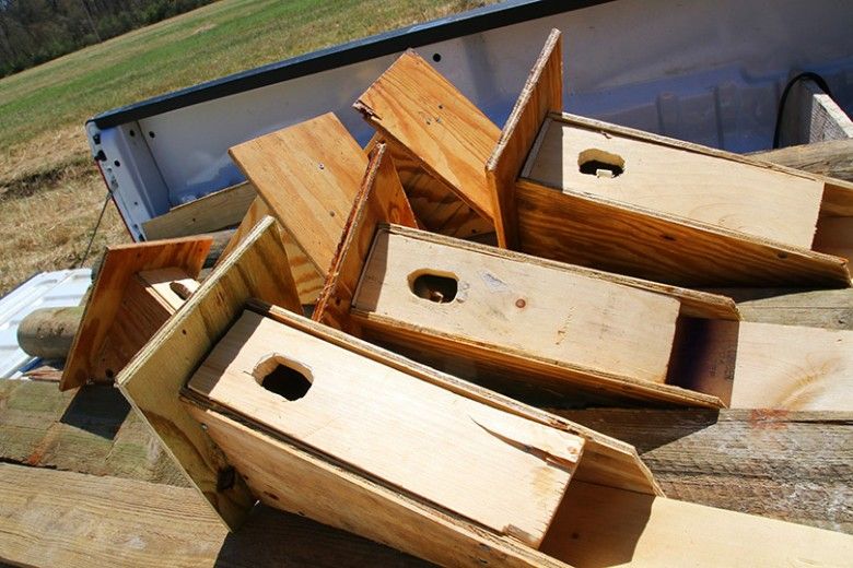 bird boxes