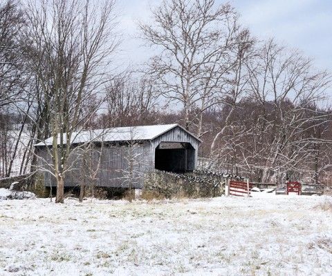 laurels preserve in the snow