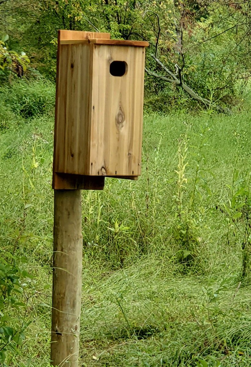 Nest boxes for wood ducks in Waterloo Mills Preserve