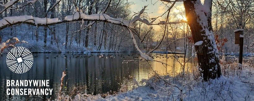 The Beauty of Winter  The Nature Conservancy