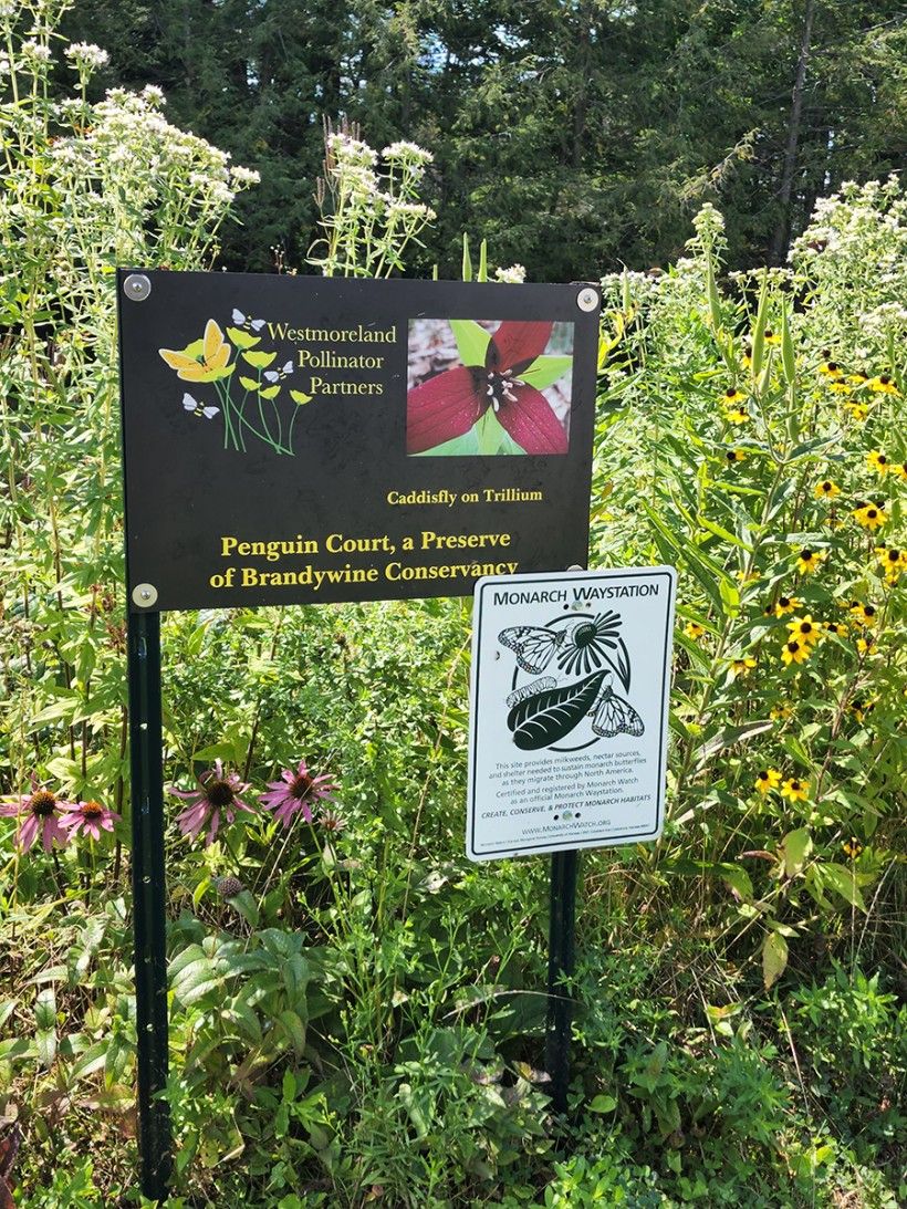 Monarch Waystation sign at the Brandywine's Penguin Court Preserve. Photo by Melissa Reckner.