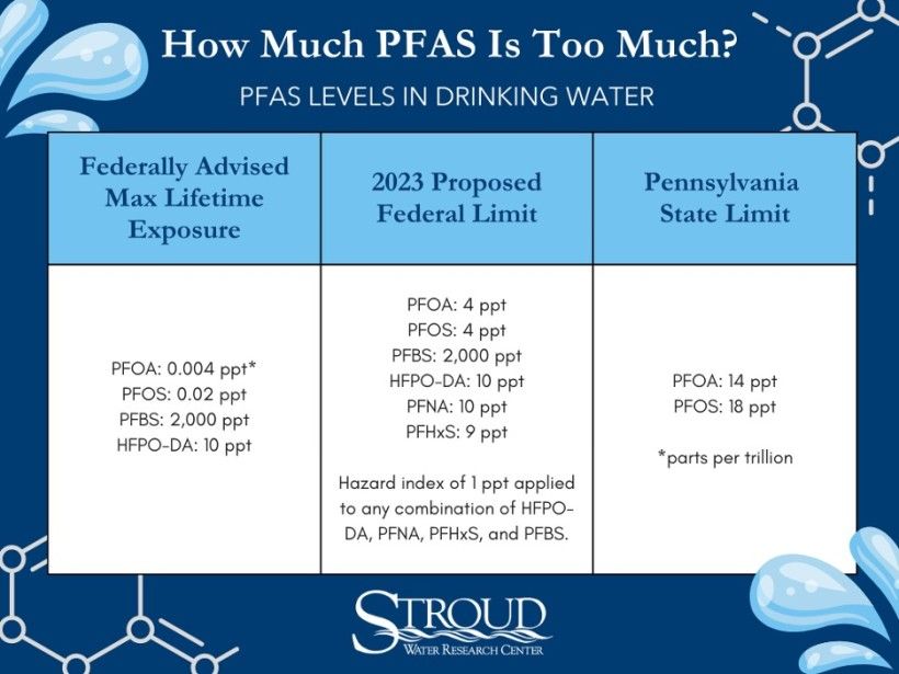 PFAS Explained: What You Should Know About These "Forever Chemicals ...