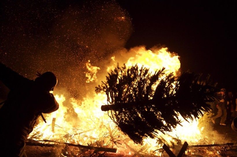 Burning Christmas trees releases the carbon that was stored back into the atmosphere and should be avoided. Photo credit: Scott Beale, flickr a Christmas tree gets thrown onto a bonfire
