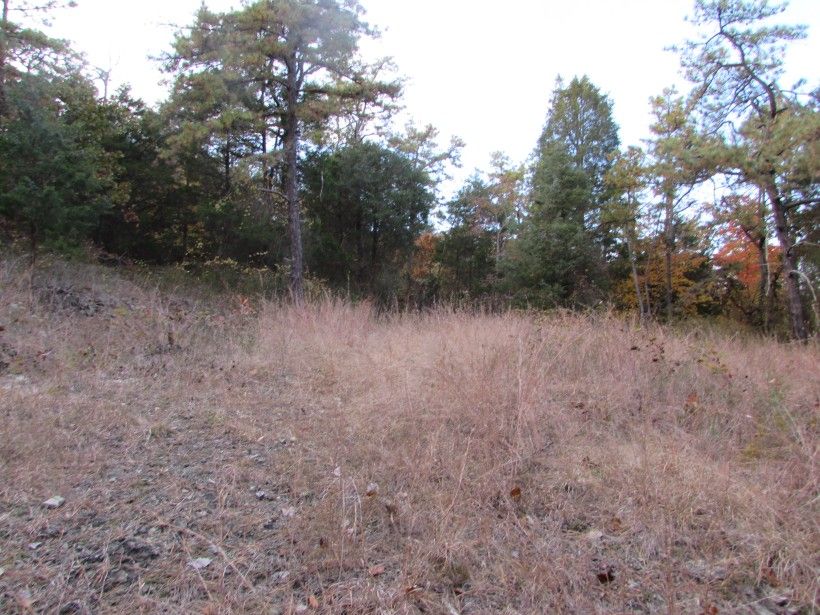 Serpentine Barrens