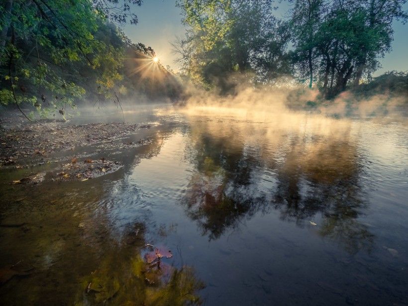 Environmental Currents: Winter 2023 | Brandywine Conservancy And Museum ...