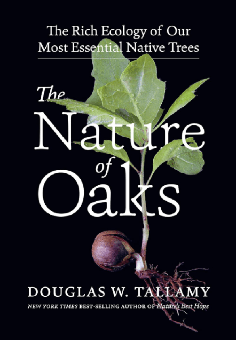 A black book cover showing a leaf and its roots dispersed throughout the bottom of the page with text in white that reads "The Nature of the Oaks."