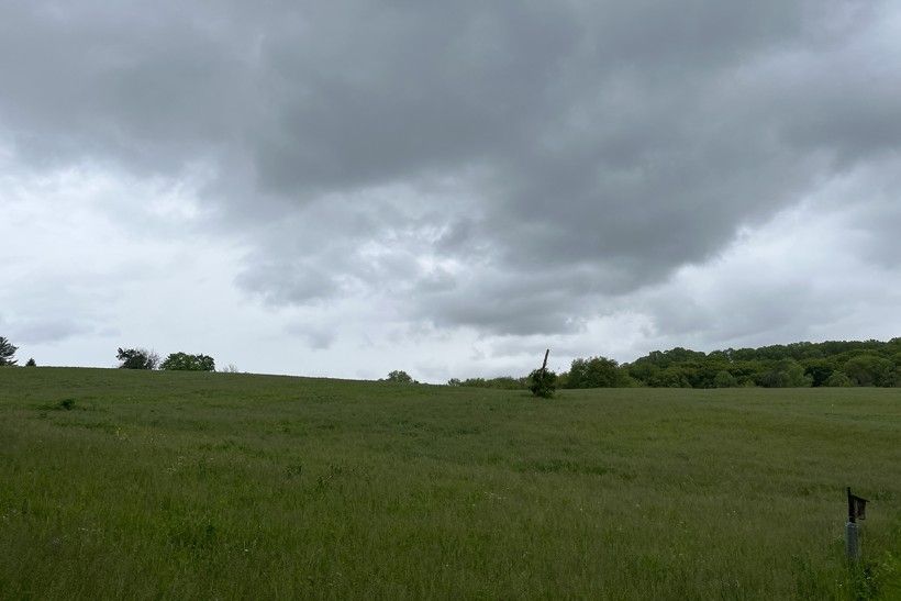 Wide view of an open field with gray clouds above