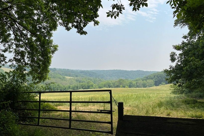 landscape view of grasslands