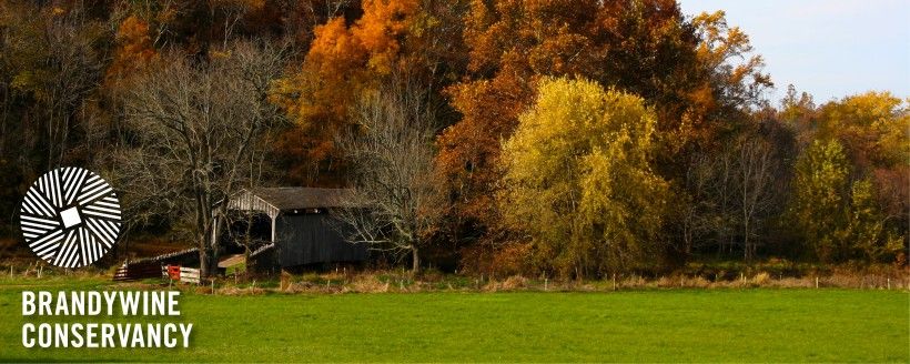 landscape view of gold and orange trees in autumn with a grey covered bridge and a field of vibrant green grass