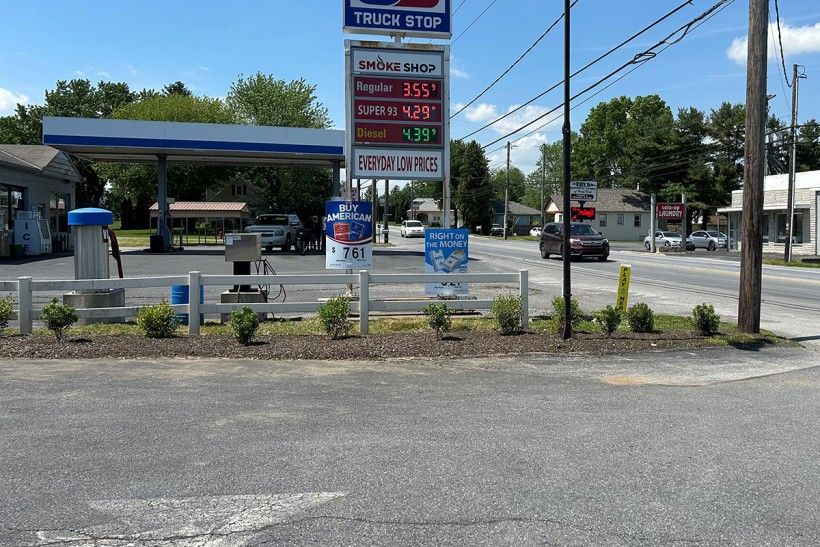 photo of newly planted plants meant to mitigate stormwater runoff