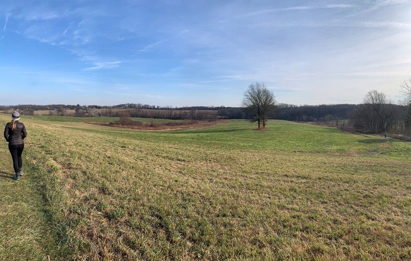 landscape photo showing a winter landscape with scattered trees and someone walking along a path on the extreme left hand side of the image