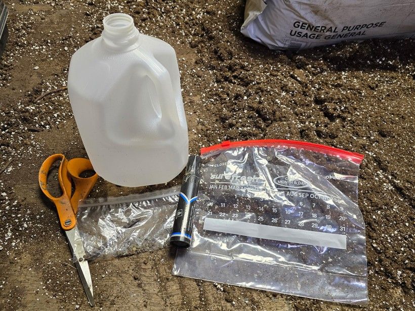 photo of supplies needed to start seedlings in the winter, including a pair of scissors, an empty plastic milk jug, a marker, seeds, and a plastic bag