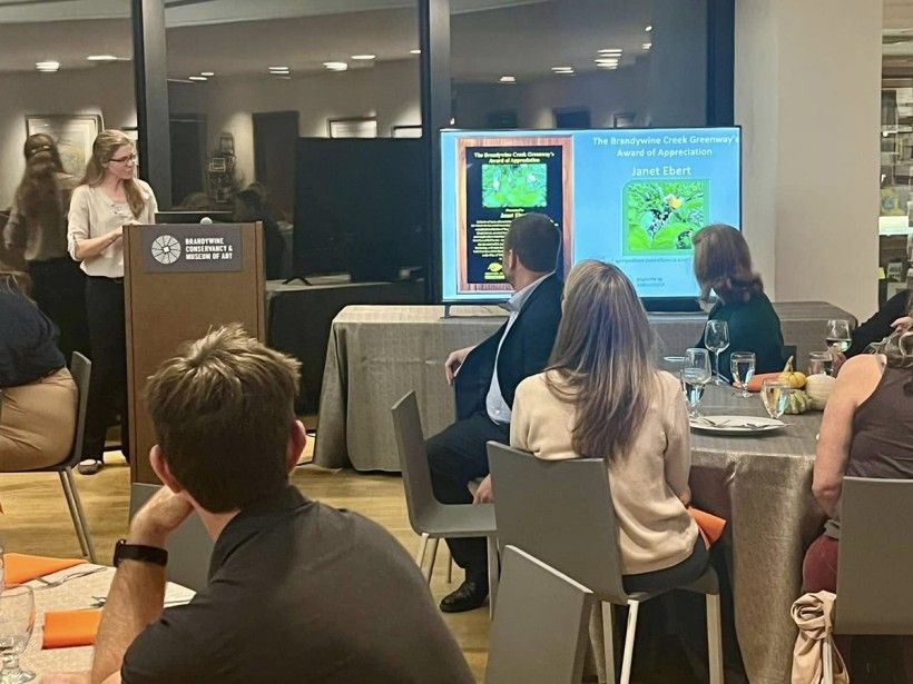 photo of a group of people watching a presentation