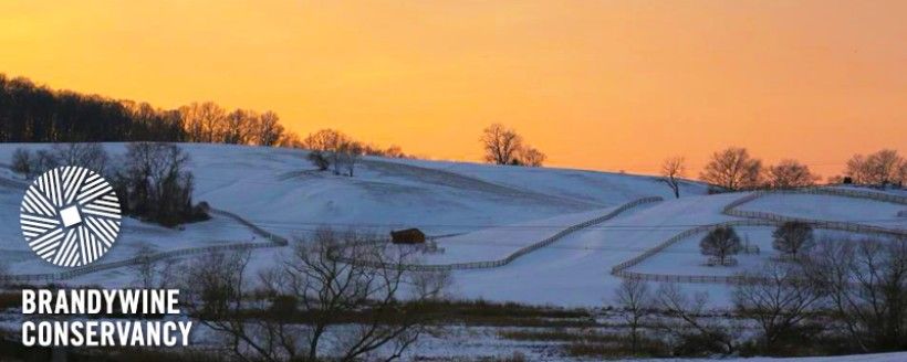 header image of a snowy rural landscape meeting an orange sunset sky