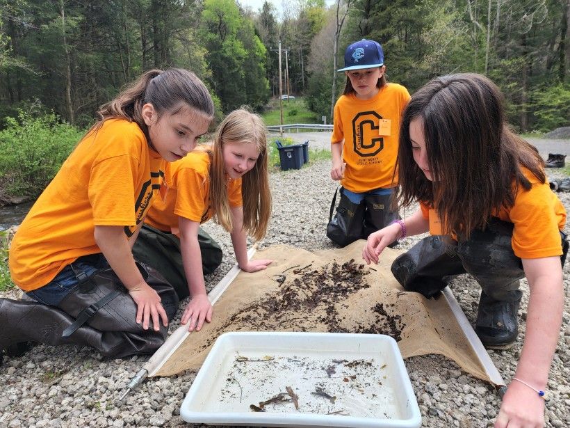 Four young girls wearing orange shirts sit outside near a shallow pan of water examining stream bugs