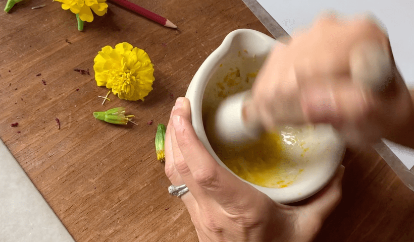 Courtesy of the artists Up close shot of hands holding a mortar and pestle, creating ink out of crushed yellow flowers