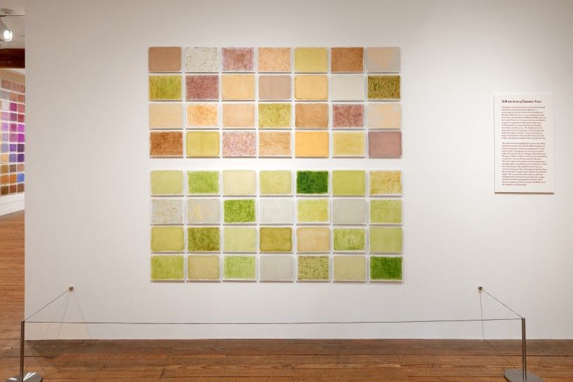 <em>Talk to me Not of Summer Trees</em> is one of two site-specific works created by the artists using plant specimens gathered from Brandywine’s Waterloo Mills Preserve. gallery photograph from "This Earthen Door" exhibition