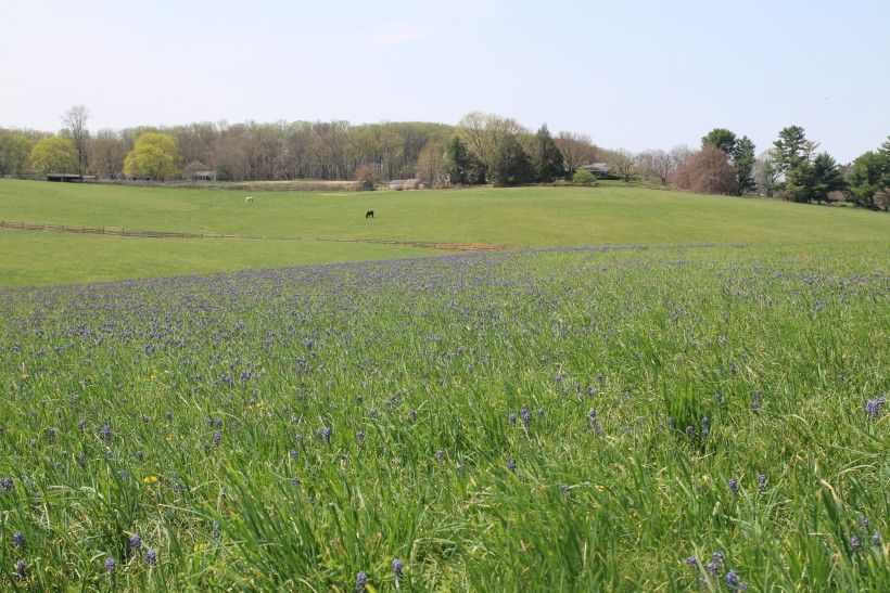 Birmingham Hill Preserve