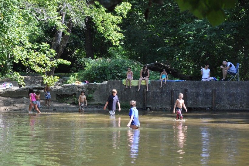 Brandywine Creek Greenway Swimmers