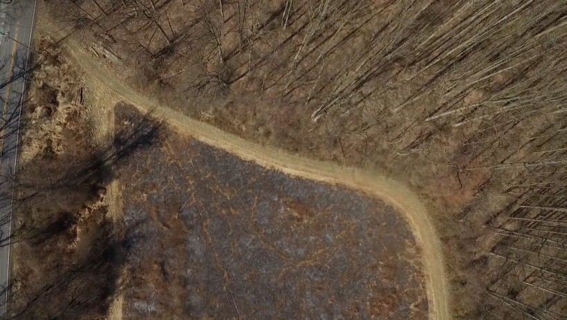 Area after it has been burned, showing the charred vegetation as well as the clear border between the burned field and the unburned woods. Photo by Jim Moore.