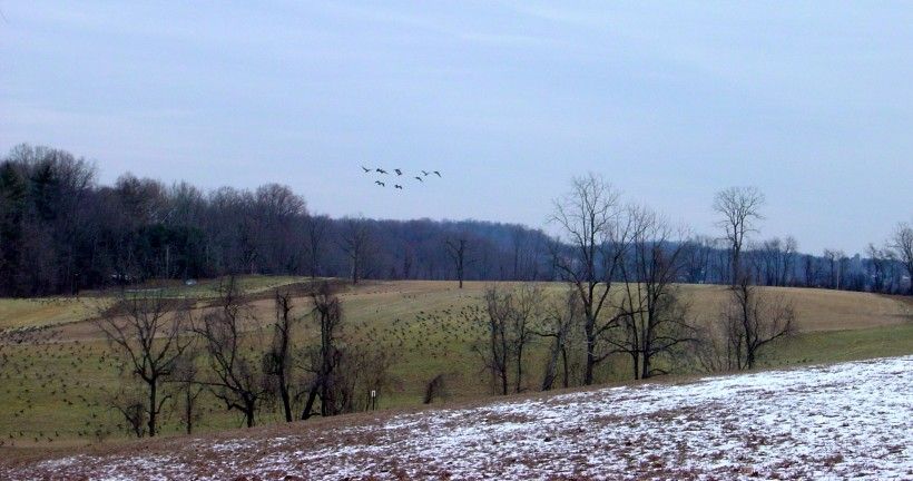 London Britain Township. Photo by Chuck Carroll