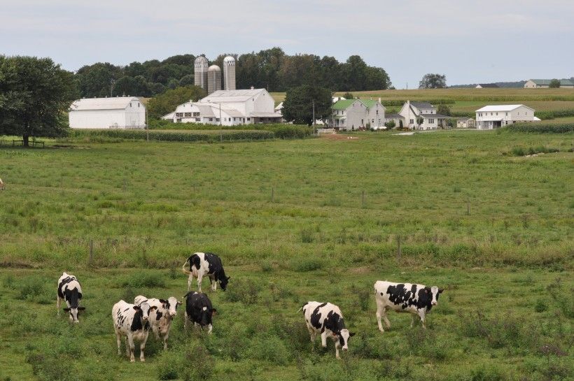 Honey Brook Farm