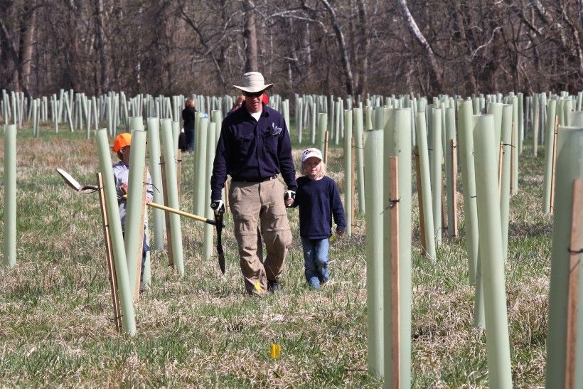 Volunteers at Reforestation Event