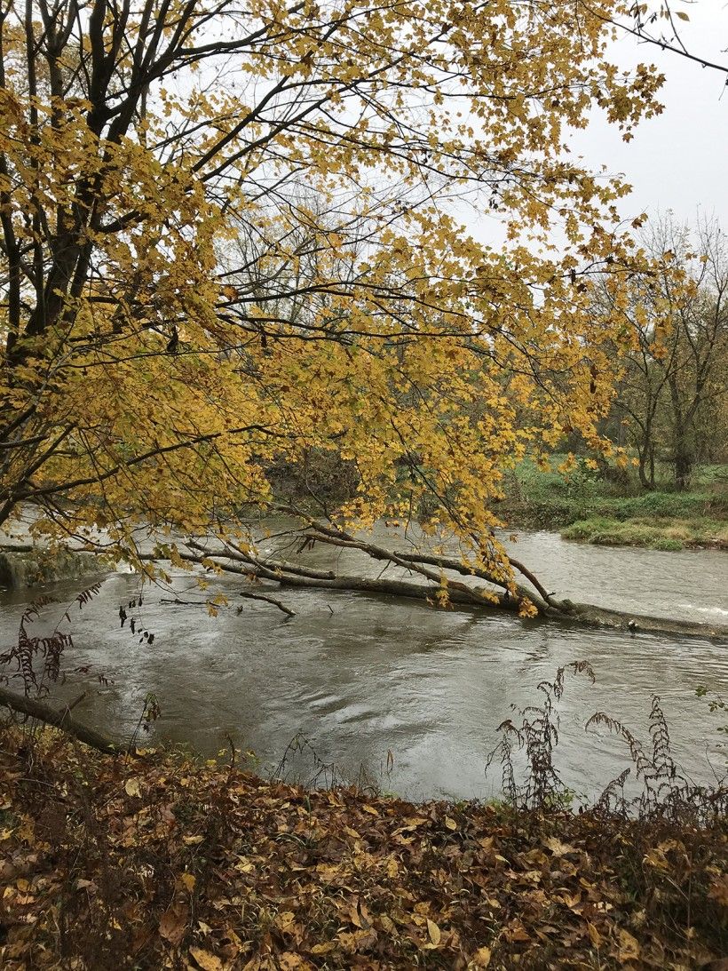 Stream running through Glenroy Farms