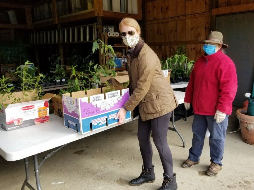 Karen Banks, left, picks up the plants she ordered while Theresa Gay Rohall looks on.