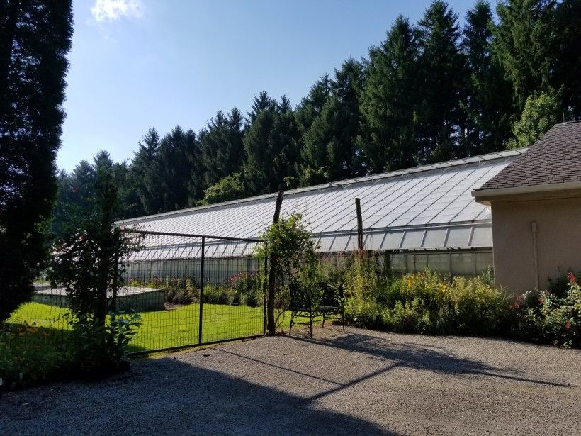 Penguin Court greenhouse