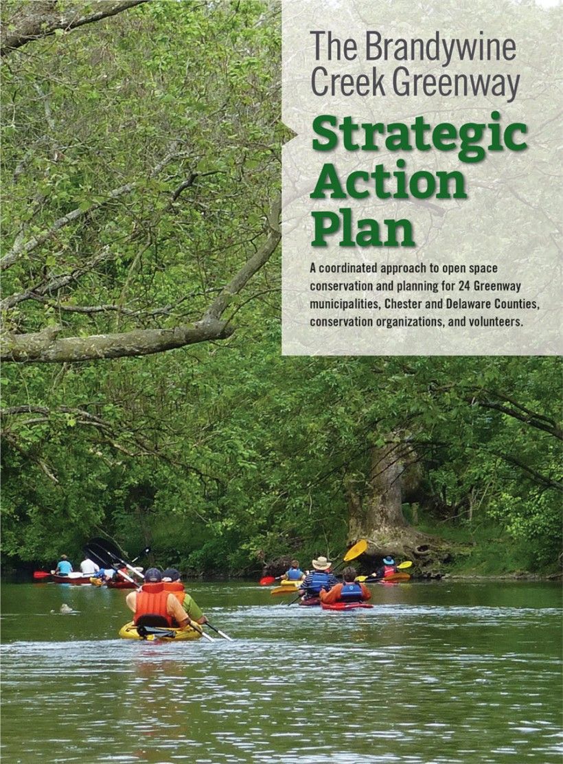 strategic action plan