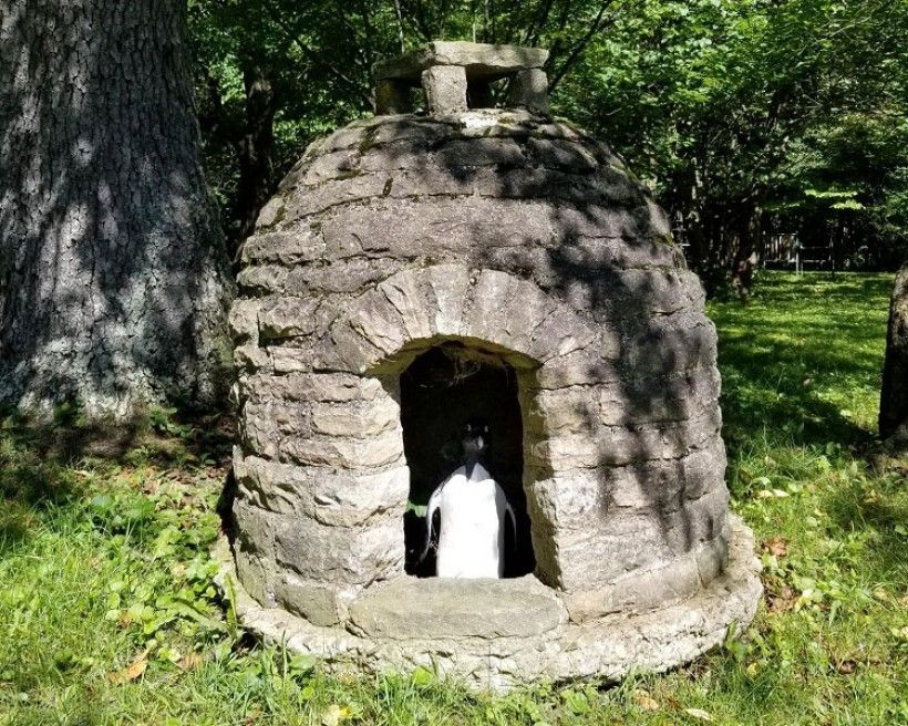 Concrete igloo at Penguin Court