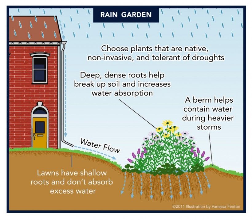 Environmental Currents: Winter 2018 | Brandywine Conservancy and Museum ...