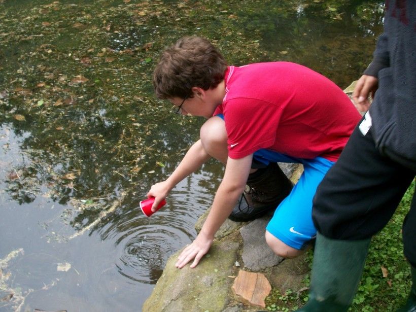 Releasing trout fry into the pond at Waterloo Mills Preserve.
